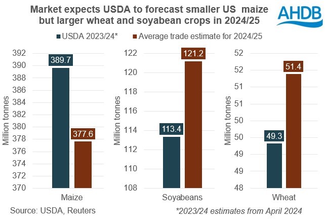 Chart showing market expectation for  US crops in May USDA report